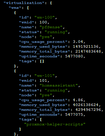 Trecho de virtualization.vms no JSON do PMA